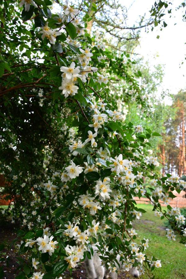 Holiday home Sowa I Kumple