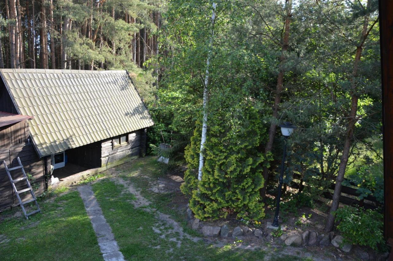 Sowa I Kumple